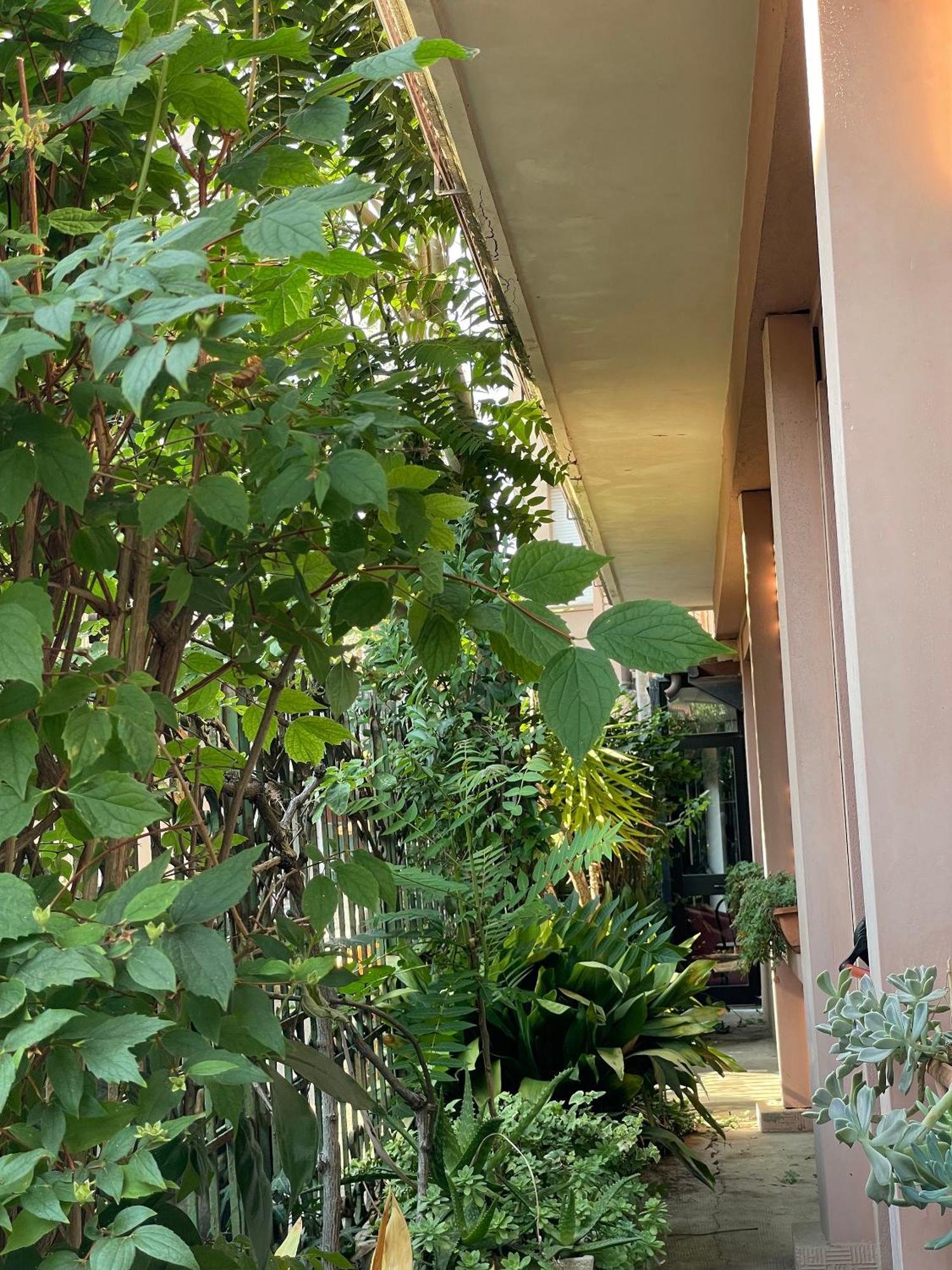 Hotel Berlino Cattolica Exterior photo
